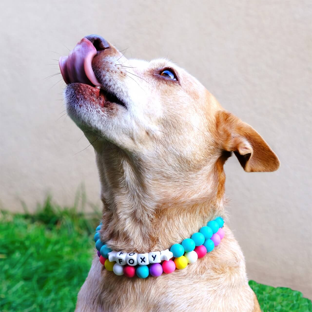 Custom Beaded Dog Collar